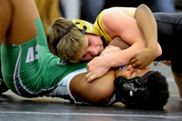 Wrestling