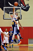 2013 MSDWT Boys Tourney