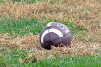 2010 WTFL Lions